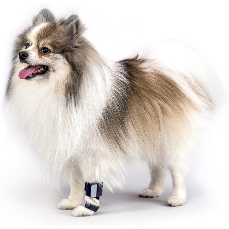 Dog Front Leg Brace – Carpal Hyperextension Splint for Fractures & Sprains