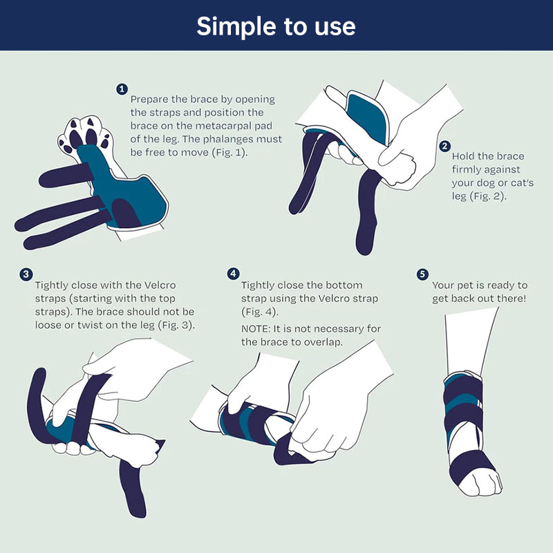 Dog Front Leg Brace – Carpal Hyperextension Splint for Fractures & Sprains